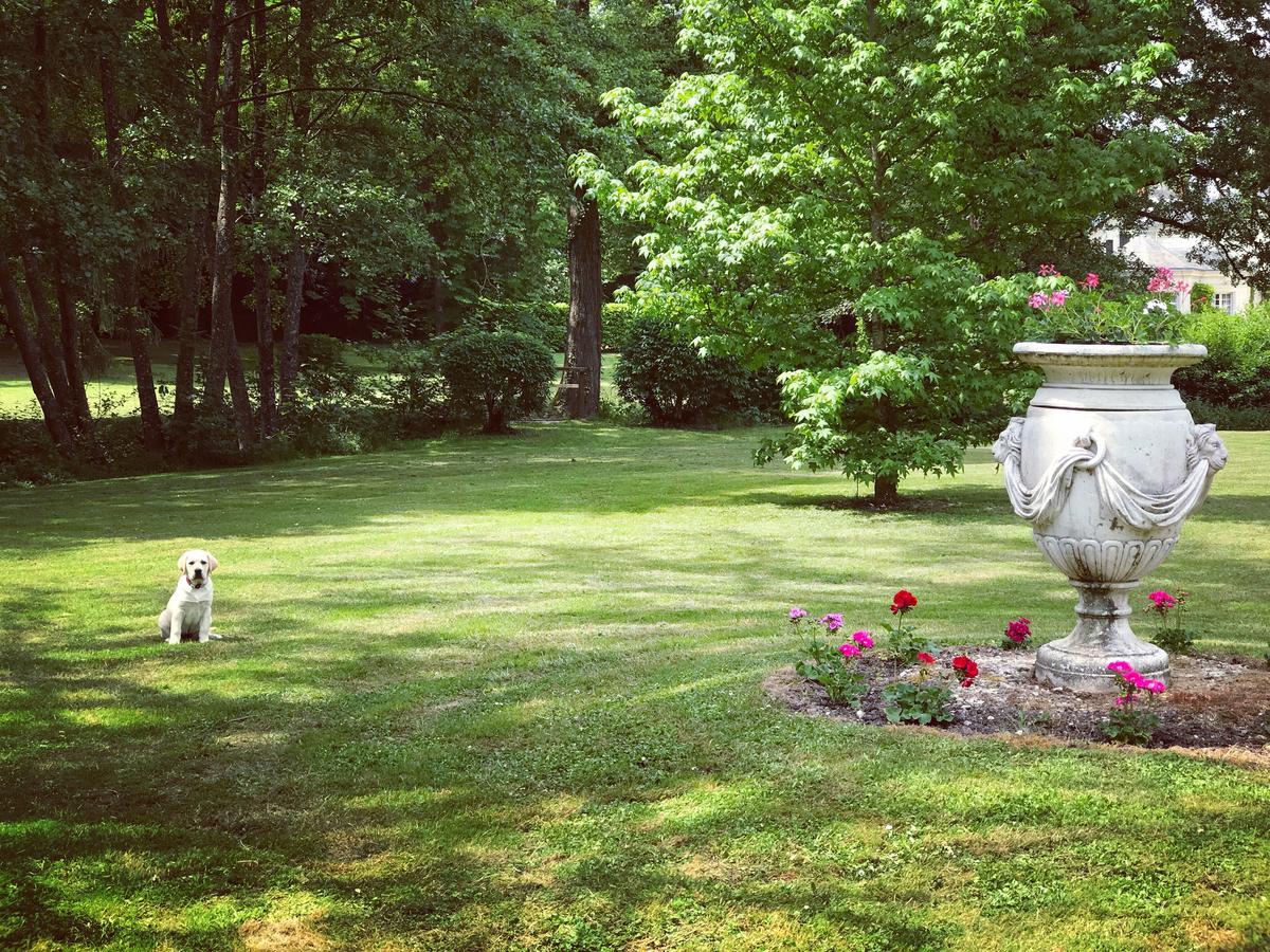 Chambre D'Hote Manoir De Clairbois Larcay Esterno foto